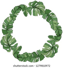 Vector Green leaf plant botanical garden floral foliage. Engraved ink art. Exotic tropical hawaiian summer. Palm beach tree leaves jungle botanical. Frame border ornament square.
