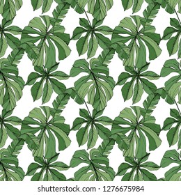 Vector Green leaf plant garden floral foliage. Engraved ink art. Exotic tropical hawaiian summer. Palm beach tree leaves jungle botanical. Seamless background pattern. Fabric wallpaper print texture.