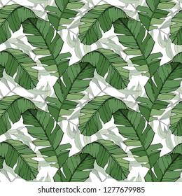 Vector de hojas verdes vegetal vegetación vegetal follaje floral. Arte con tinta grabada. Verano tropical hawaiano exótico. El palmeral de la playa deja la jungla botánica. Patrón de fondo sin inconvenientes. Textura de impresión de papel tapiz de tela.