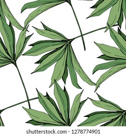 Vector Green leaf plant garden floral foliage. Engraved ink art. Exotic tropical hawaiian summer. Palm beach tree leaves jungle botanical. Seamless background pattern. Fabric wallpaper print texture.
