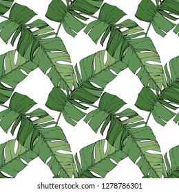 Vector Green leaf plant garden floral foliage. Engraved ink art. Exotic tropical hawaiian summer. Palm beach tree leaves jungle botanical. Seamless background pattern. Fabric wallpaper print texture.