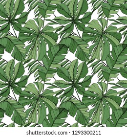 Vector Green leaf plant garden floral foliage. Engraved ink art. Exotic tropical hawaiian summer. Palm beach tree leaves jungle botanical. Seamless background pattern. Fabric wallpaper print texture.