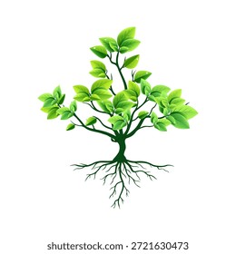 Vector de plantas de hoja verde en la estación lluviosa. Las plantas con raíces en verde están actualmente en tendencia viral.