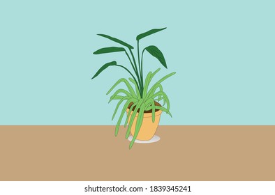 Vector Green leaf trees in brown pots