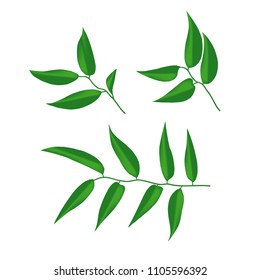vector green leaves