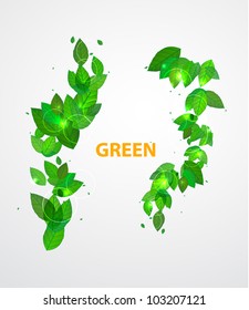 Vector green leaves background