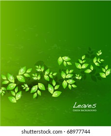 Vector green leaves background