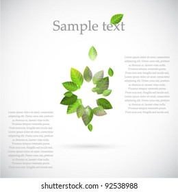 Vector green leaves background