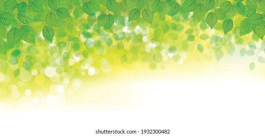 Vector green leaves  bokeh background.  Green nature background.