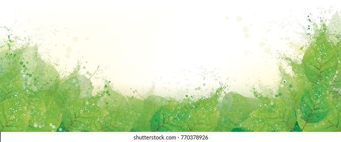 Vector green leaves border.