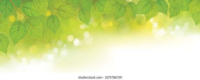 Vector green leaves border on green bokeh background.