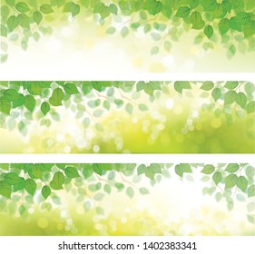 Vector green leaves  border on spring, green, bokeh background.