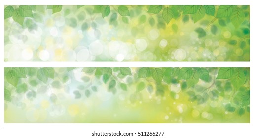 Vector green leaves border on sunshine backgrounds.