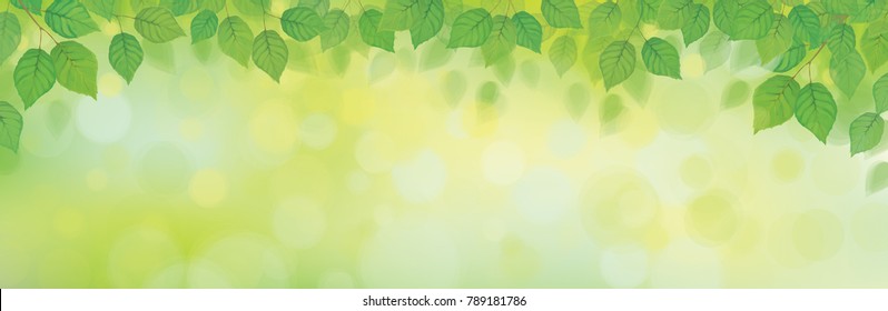 Vector green leaves border on green bokeh background.