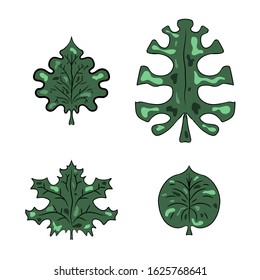 Vector green leaves collection isolated on white. Flat cartoon style botanical design elements. Palm and maple tree 