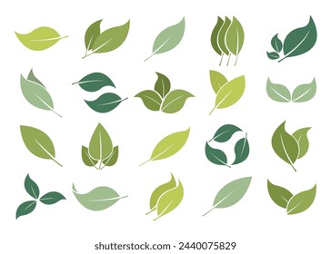 Vector Green Leaves Collection. Leaf elements for design.