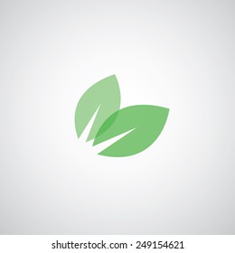vector green leaves eco friendly 