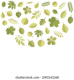 Vector green leaves (elm, beech, ash, linden, birch, alder, aspen, willow, maple,  poplar, rowan, hawthorn, walnut, apple, oak, acacia, chestnut, conker) falling down isolated on white backgound