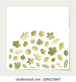 Vector green leaves (elm, beech, ash, linden, birch, alder, aspen, willow, maple, poplar, rowan, hawthorn, walnut, apple, oak, acacia, chestnut, conker) in form of stack isolated on white backgound