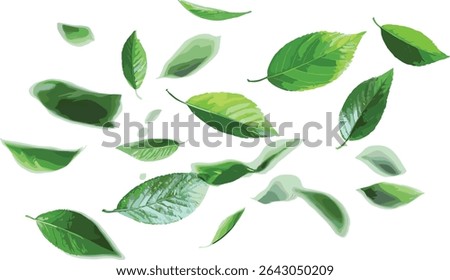 Vector green leaves falling, motion cutout background, nature, environmental concept, autumn foliage, fresh leaves, seasonal change, peaceful scene, organic design, wind effect