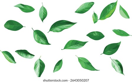 Vector Green leaves falling movement flow illustration background file, nature, eco, spring, fresh foliage, transparent, botanical, wind, decorative, plant, design, summer