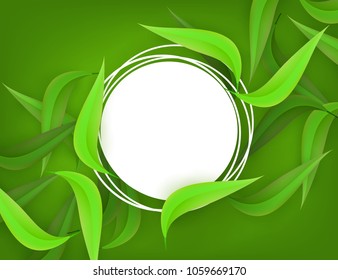 Vector green leaves frame background template, white grunge circle. Abstract natural decoration pattern. Summer tropucal exotic. Fern monstera paradise resort, holiday vacation, poster illustration