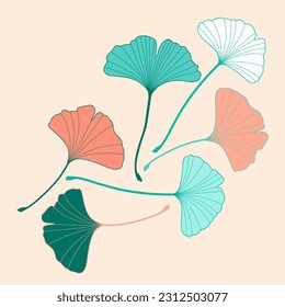 Vector green leaves of Ginkgo Biloba. isolated on white background