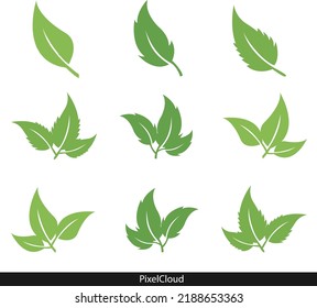 Vector green leaves icons in Various shapes for trees and plants. Elements for sustainable ecological, biological logos and for cover designs.