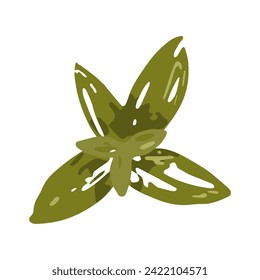 Vector green leaves illustration. Hand drawn plant with painted brush texture isolated on white background. Foliage greenery element, naive sketch, flat style