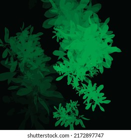 Vector green leaves on black background detailed