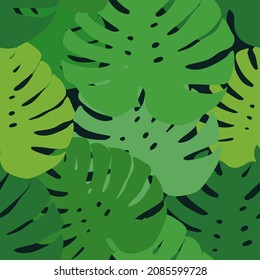 Vector green leaves on a dark background, tropical leaf