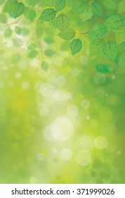 Vector green leaves on  spring, bokeh background.