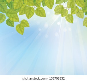 Vector of green leaves on sunny sky background.
