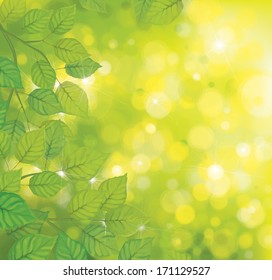 Vector green leaves on sunshine background. 