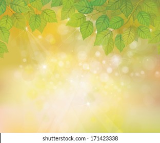 Vector green leaves on sunshine background.