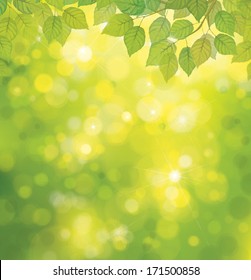 Vector green leaves on sunshine background.