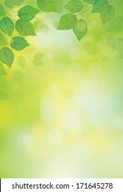 Vector green leaves on sunshine background.