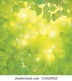 Vector green leaves on sunshine background.