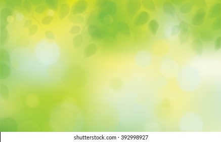 Vector green leaves on sunshine background.