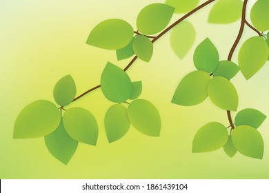 Vector green leaves on tree branch isolated on summer background 