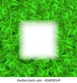 Vector Green Leaves Pattern. Evergreen Hedgegrow. Summer Leaves Background