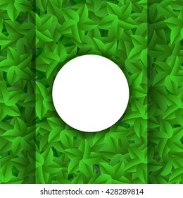Vector Green Leaves Pattern. Evergreen Hedgegrow. Summer Leaves Background