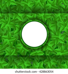 Vector Green Leaves Pattern. Evergreen Hedgegrow. Summer Leaves Background