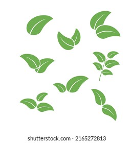 Vector green leaves. Resize. Logo design