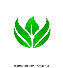 Vector Green Leaves Serial 2 8 Logo  