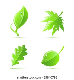 Vector green leaves set.