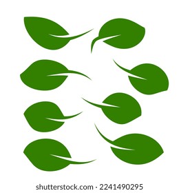 Vector green leaves with several shapes