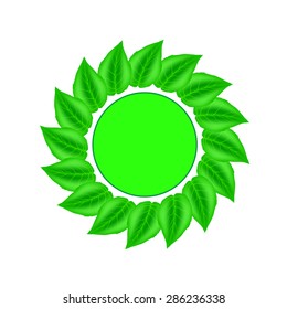 Vector Green Leaves Sticker Isolated On Stock Vector (Royalty Free ...