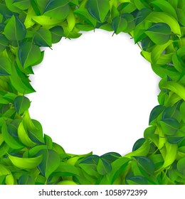 Vector green leaves summer background with round blank space