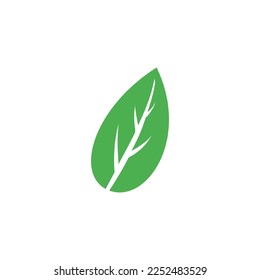 Vector green leaves that can be used for your various illustration needs
